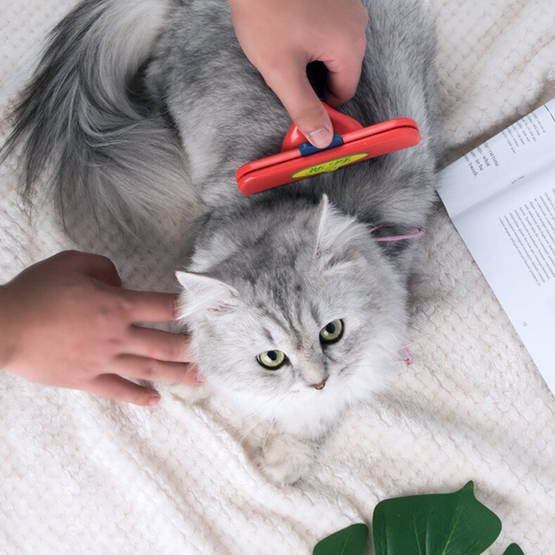 Pratik 4.5 Kilo Üzeri Kısa Tüylü Kediler İçin Tüy Toplama Tarağı